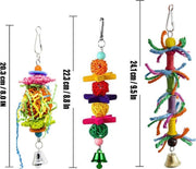 Colorful Parrot Bird Cage Perch Bungee Swing Ladder Toy Set - Pack of 10