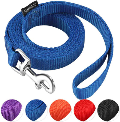 AMAGOOD 1.8M(6 FT) Puppy/Dog Leash, Strong and Durable Traditional Style Leash with Easy to Use Collar Hook,Dog Lead Great for Small and Medium and Large Dog(5/8" X 6 Feet, Blue)