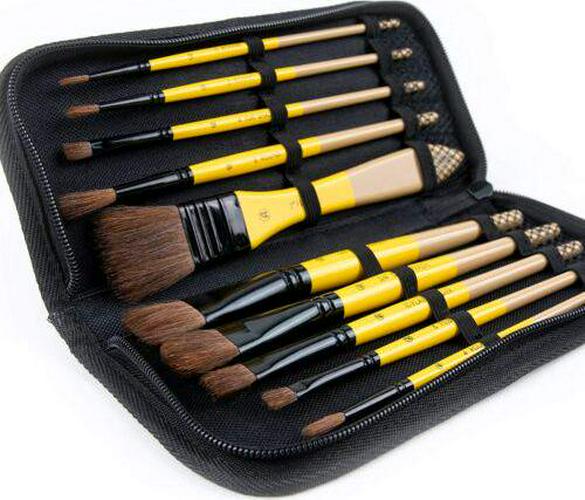 ARTIFY 10 Pcs Paint Brush Set Includes A Carrying Case, Horse Hair Natural Hair