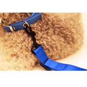 Adjustable Pet Dog Safety Car Vehicle Seat Belt Harness Lead Pet Seatbelt Nylon