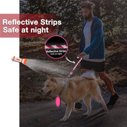 Reflective Dog Leash - Heavy Duty Training Obedience Recall Walk Clip