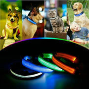 Keep Your Furry Friend Safe with our USB Rechargeable LED Dog Collar!------
