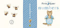 Penguin Peter Rabbit: My First Little Library Book - Board Book - 02 May 2011: a Baby Board Book Set