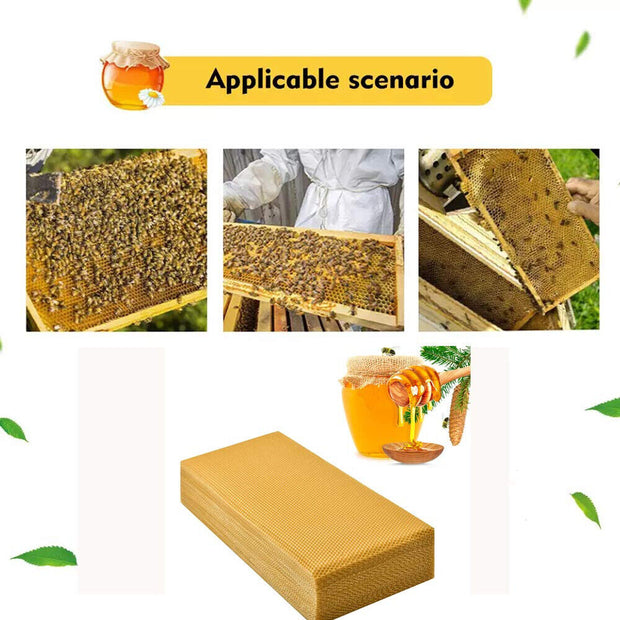 Ultimate 30-Piece Beekeeping Frame Set with Premium Honeycomb Wax Foundation