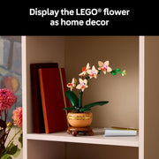 Botanicals Mini Orchid Craft Kit – Artificial Plant Model with Faux Flowers & Terracotta-Style Pot | DIY Decor for Home & Office