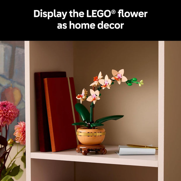 Botanicals Mini Orchid Craft Kit – Artificial Plant Model with Faux Flowers & Terracotta-Style Pot | DIY Decor for Home & Office