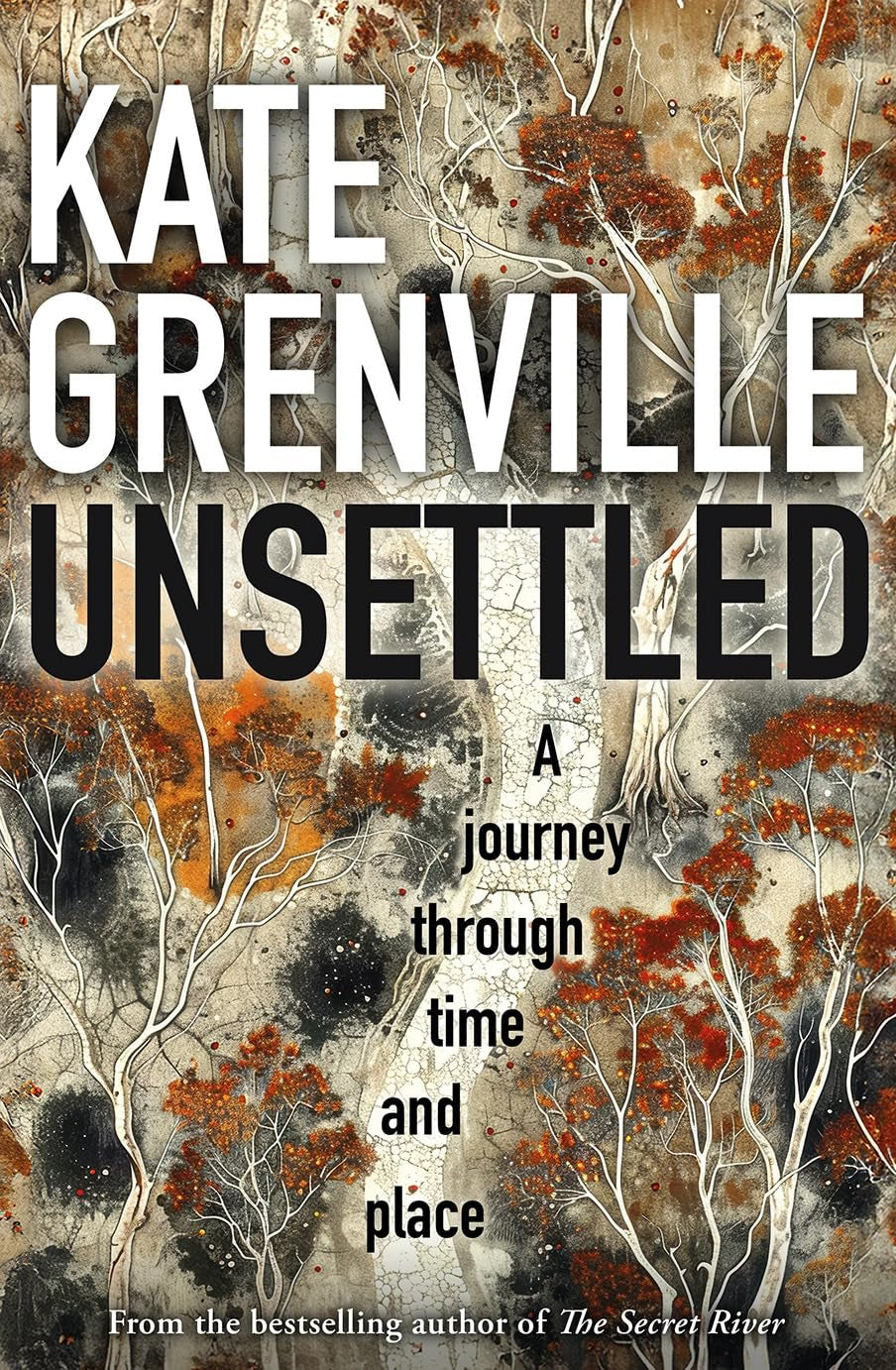 Unsettled – A Captivating Journey Through Time and Place