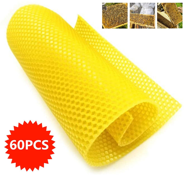 Premium 60Pcs Beekeeping Wax Frames - High-Quality Honeycomb Sheets for Bee Hives