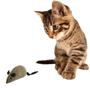 Trendy Pets Plush Mouse Cat Toy - Hours of Fun & Exercise
