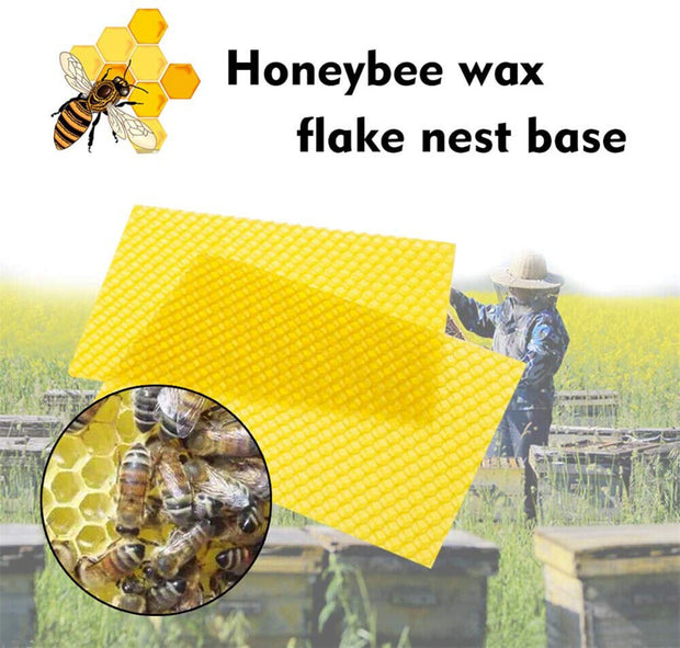 Premium 60Pcs Beekeeping Wax Frames - High-Quality Honeycomb Sheets for Bee Hives