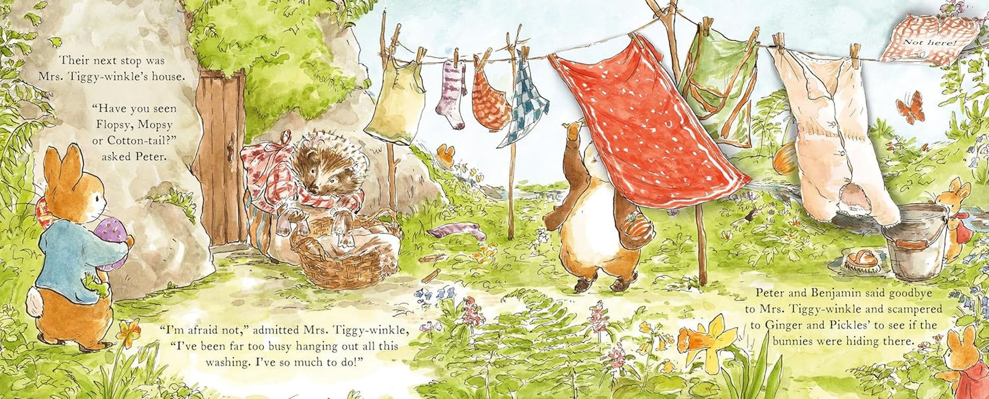 Peter Rabbit: the Easter Bunny Hunt: a Lift-The-Flap Storybook
