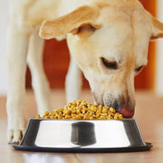 790ml Stainless Steel Anti-Skid Pet Dog Puppy Cat Food Water Feeder Dish Bowl - Hot Sale!