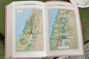 NIV Gift And Award Bible Red Letter Edition [Pink]