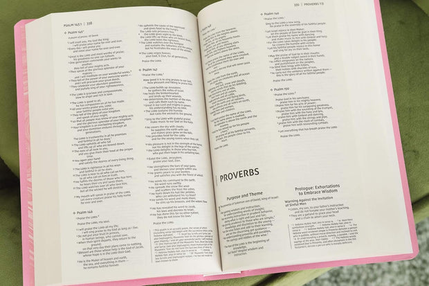 NIV Gift And Award Bible Red Letter Edition [Pink]