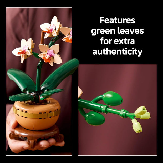 Botanicals Mini Orchid Craft Kit – Artificial Plant Model with Faux Flowers & Terracotta-Style Pot | DIY Decor for Home & Office