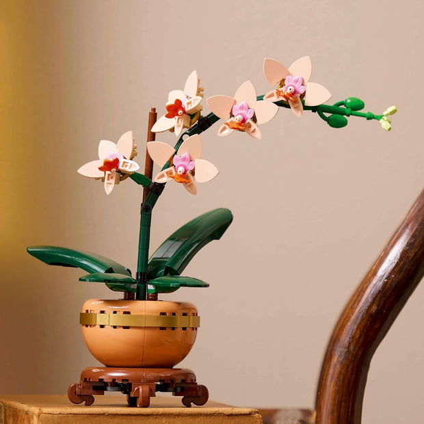 Botanicals Mini Orchid Craft Kit – Artificial Plant Model with Faux Flowers & Terracotta-Style Pot | DIY Decor for Home & Office