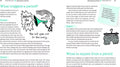 Ultimate Guide for Pre-Teens | Girl Stuff 8-12 by Kaz Cooke | Paperback Book - Tin Sign Factory Australia