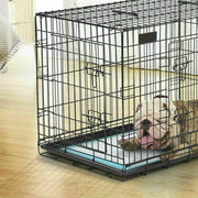 Blue Indoor Training Pads Pet Toilet Puppy Dog Cat 60x60cm Super Absorbent OZ