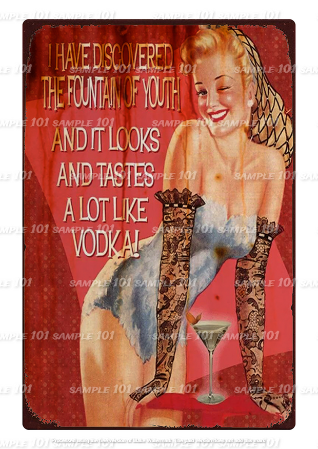 Vintage-style tin metal sign reading 'FOUNTAIN OF YOUTH' with a retro design and distressed finish, ideal for home, garage, bar, or shed décor. Features bold, nostalgic typography with a playful door lock warning theme. Perfect for adding character to walls or doors.