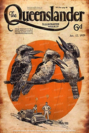 LAUGHING KOOKABURRAS Retro Vintage Rustic Look Home Classic Shed Garage Reproduction Bar Wall Tin Metal Signs Metal, Metal plaques, Outdoor, Indoor, Metal sign printing, Metal sign design, Metal sign manufacturing, Rustic look metal signs, Weathered metal signs, Vintage metal signs, Rust effect on metal, Faux rust metal signs, Corroded look metal signs, Rusty appearance