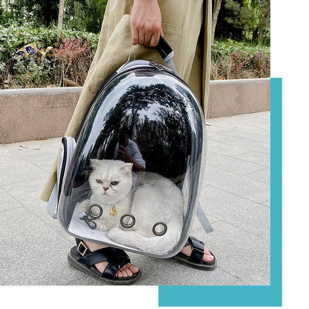 New Cat Dog Breathable Pet Carrier Bag Outdoor Travel Transparent Space Backpack