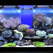 SMD 5050 LED Aquarium Underwater Fish Tank Light Bar Submersible Marine Lamp AU---**** Hot Sale Rechargeable Anti Bark Collar **