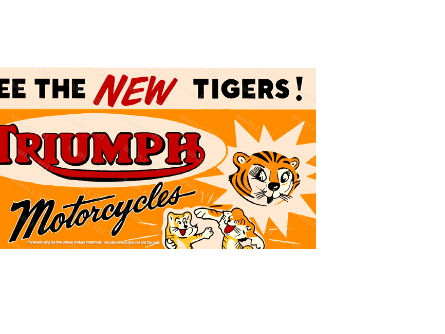 TRIUMPH TIGERS MOTORCYCLES