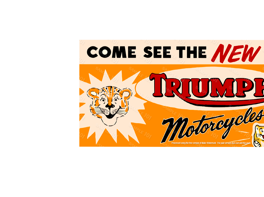 TRIUMPH TIGERS MOTORCYCLES