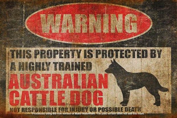 AUSTRALIAN CATTLE DOG Retro Vintage Rustic Look Home Classic Shed Garage Reproduction Bar Wall Tin Metal Signs Metal, Metal plaques, Outdoor, Indoor, Metal sign printing, Metal sign design, Metal sign manufacturing, Rustic look metal signs, Weathered metal signs, Vintage metal signs, Rust effect on metal, Faux rust metal signs, Corroded look metal signs