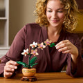 Botanicals Mini Orchid Craft Kit – Artificial Plant Model with Faux Flowers & Terracotta-Style Pot | DIY Decor for Home & Office