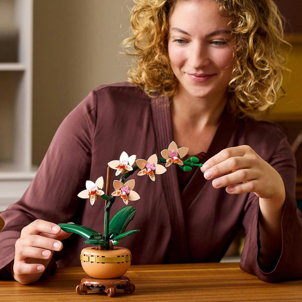 Botanicals Mini Orchid Craft Kit – Artificial Plant Model with Faux Flowers & Terracotta-Style Pot | DIY Decor for Home & Office