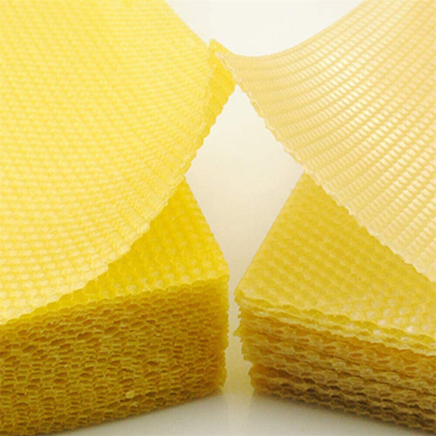 Premium 60Pcs Beekeeping Wax Frames - High-Quality Honeycomb Sheets for Bee Hives