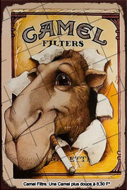 Camel Filters