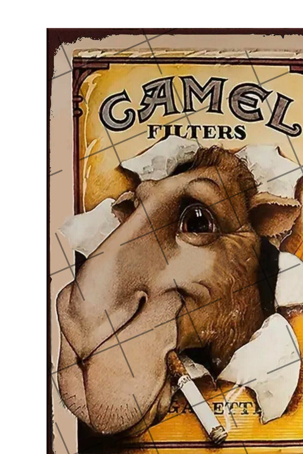 Camel Filters