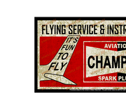 CHAMPION AVIATION SPARK PLUGS