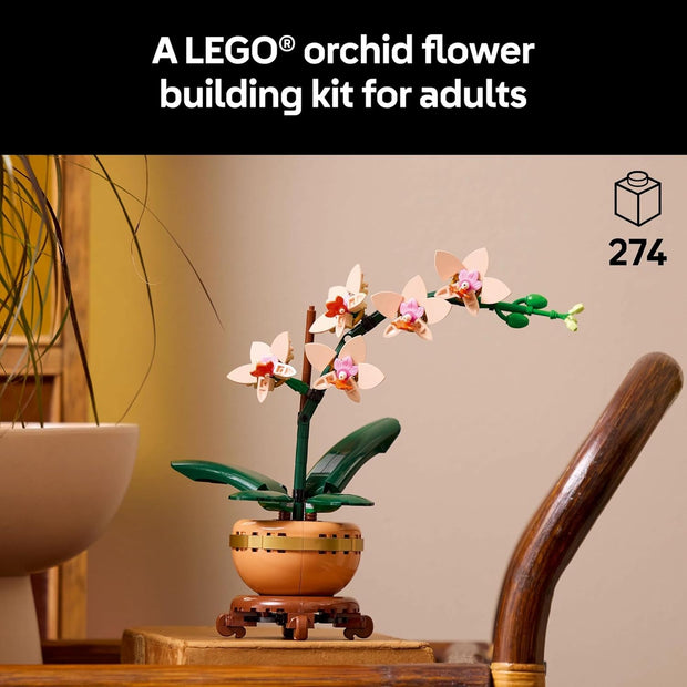 Botanicals Mini Orchid Craft Kit – Artificial Plant Model with Faux Flowers & Terracotta-Style Pot | DIY Decor for Home & Office