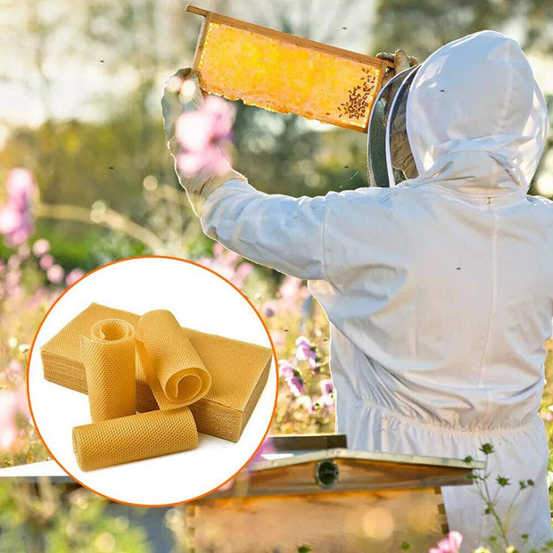 Premium 60Pcs Beekeeping Wax Frames - High-Quality Honeycomb Sheets for Bee Hives