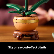 Botanicals Mini Orchid Craft Kit – Artificial Plant Model with Faux Flowers & Terracotta-Style Pot | DIY Decor for Home & Office