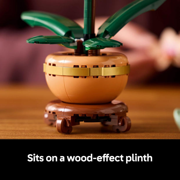 Botanicals Mini Orchid Craft Kit – Artificial Plant Model with Faux Flowers & Terracotta-Style Pot | DIY Decor for Home & Office
