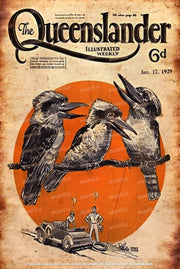 LAUGHING KOOKABURRAS Rustic Vintage Look Home Garage Shop Décor Tin Metal Sign