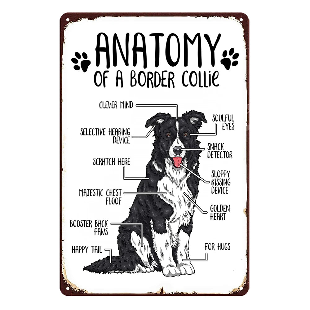 2x Anatomy of a Border Collie Dog Rustic Metal Sign Vintage Tin Shed