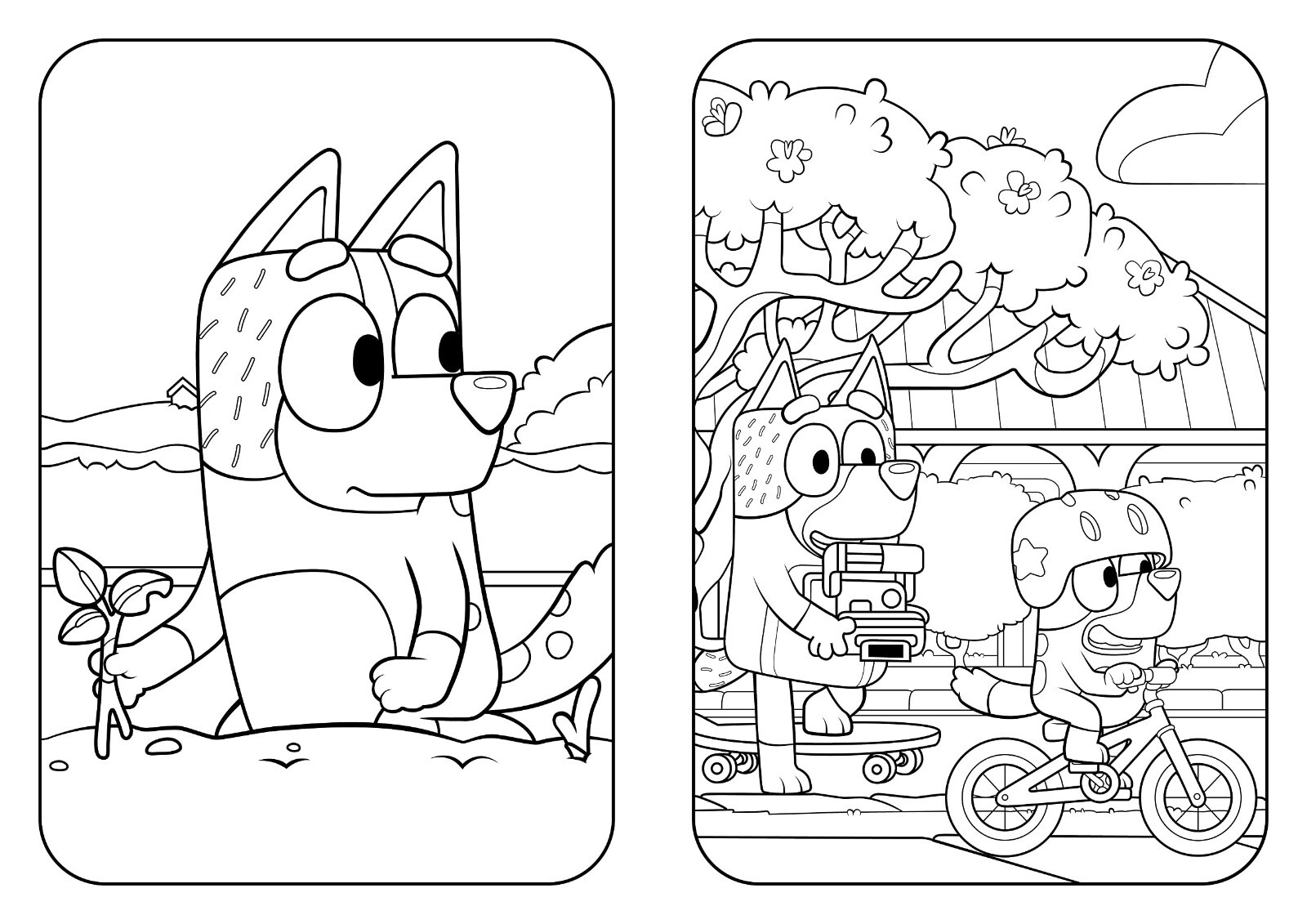 Bluey: Big Backyard: A Colouring Book - Paperback Book - Tin Sign Factory Australia
