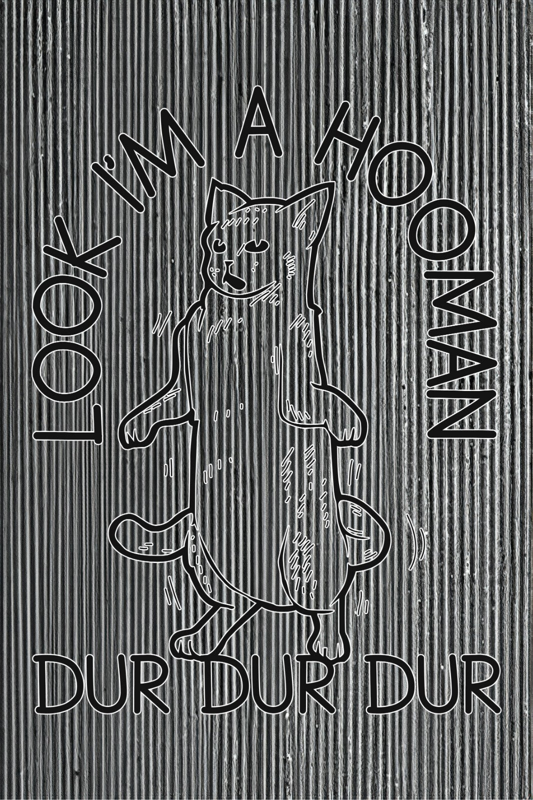 Look I'm a Hooman Cat Pussy Cats Pic