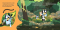 Bluey: The Creek - Board Book KIDS - Tin Sign Factory Australia