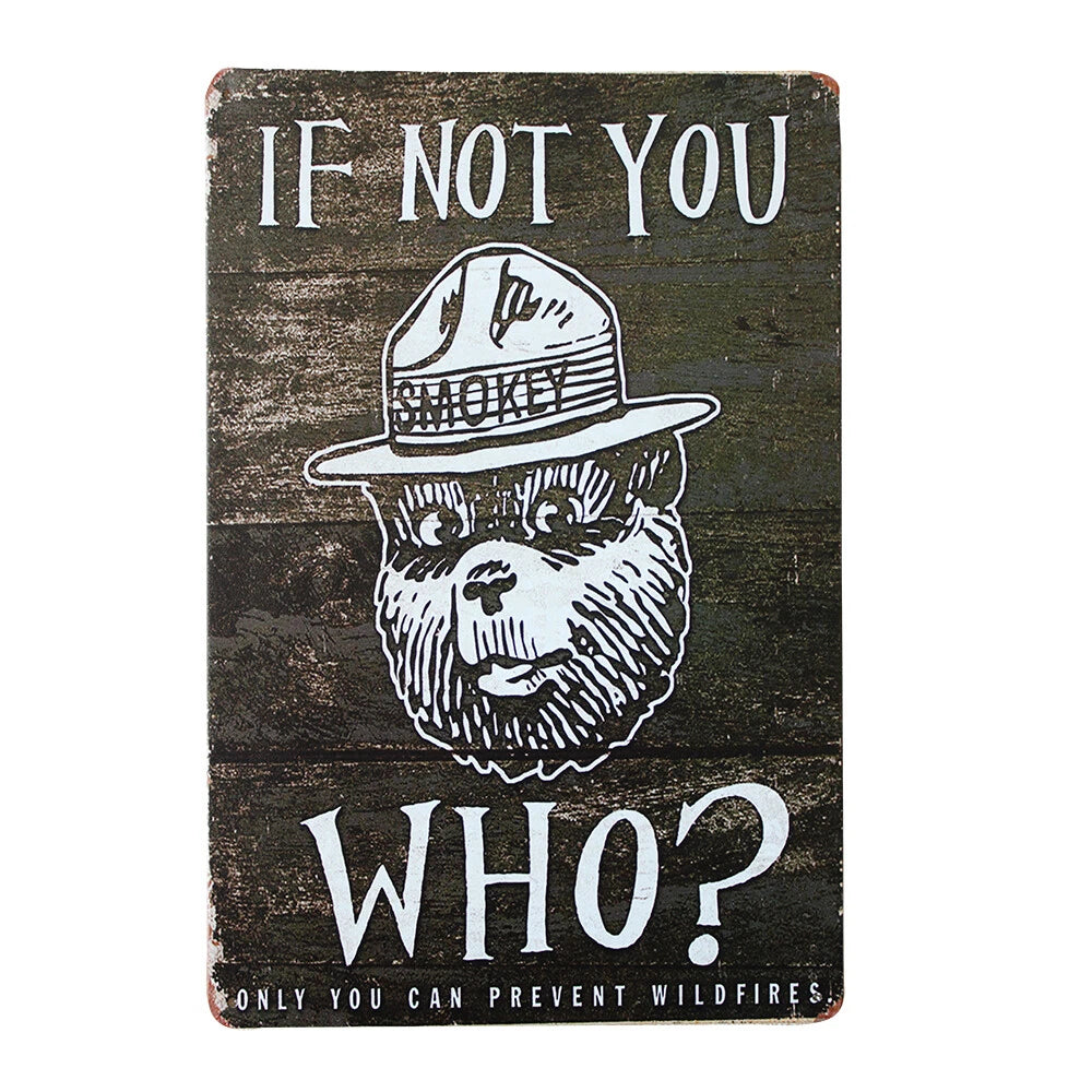 Tin Sign Only You Can Prevent Wildfires Smokey the Bear200x300mm