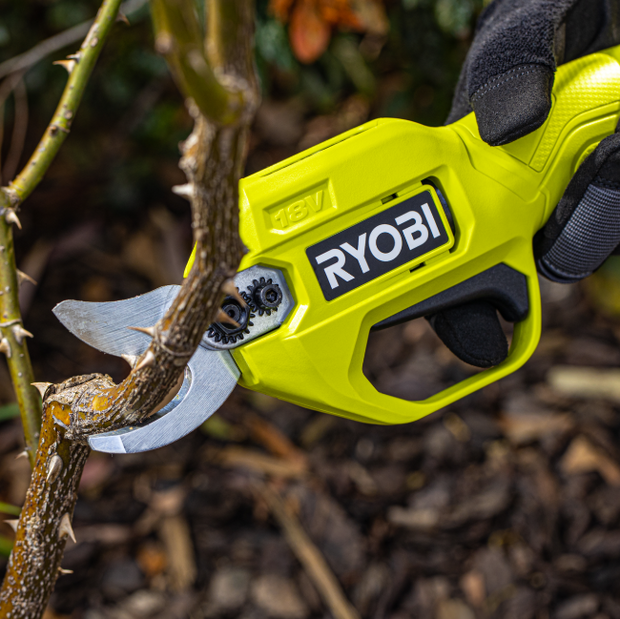 Ryobi electric pruner 