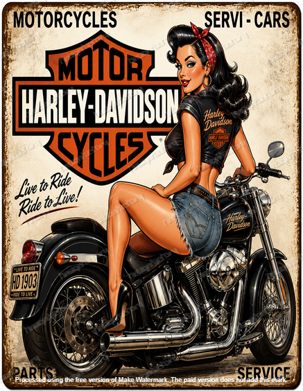 RIDE TO LIVE Tin Metal Sign Bar Pub Man Cave Garage Motorcycle Home Wall Decor - Tin Sign Factory Australia