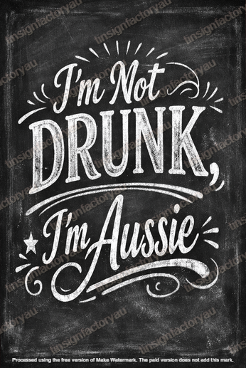 I'M NOT DRUNK Funny Man Cave Shed Garage Humorous Beer Workshop Decor Metal Sign