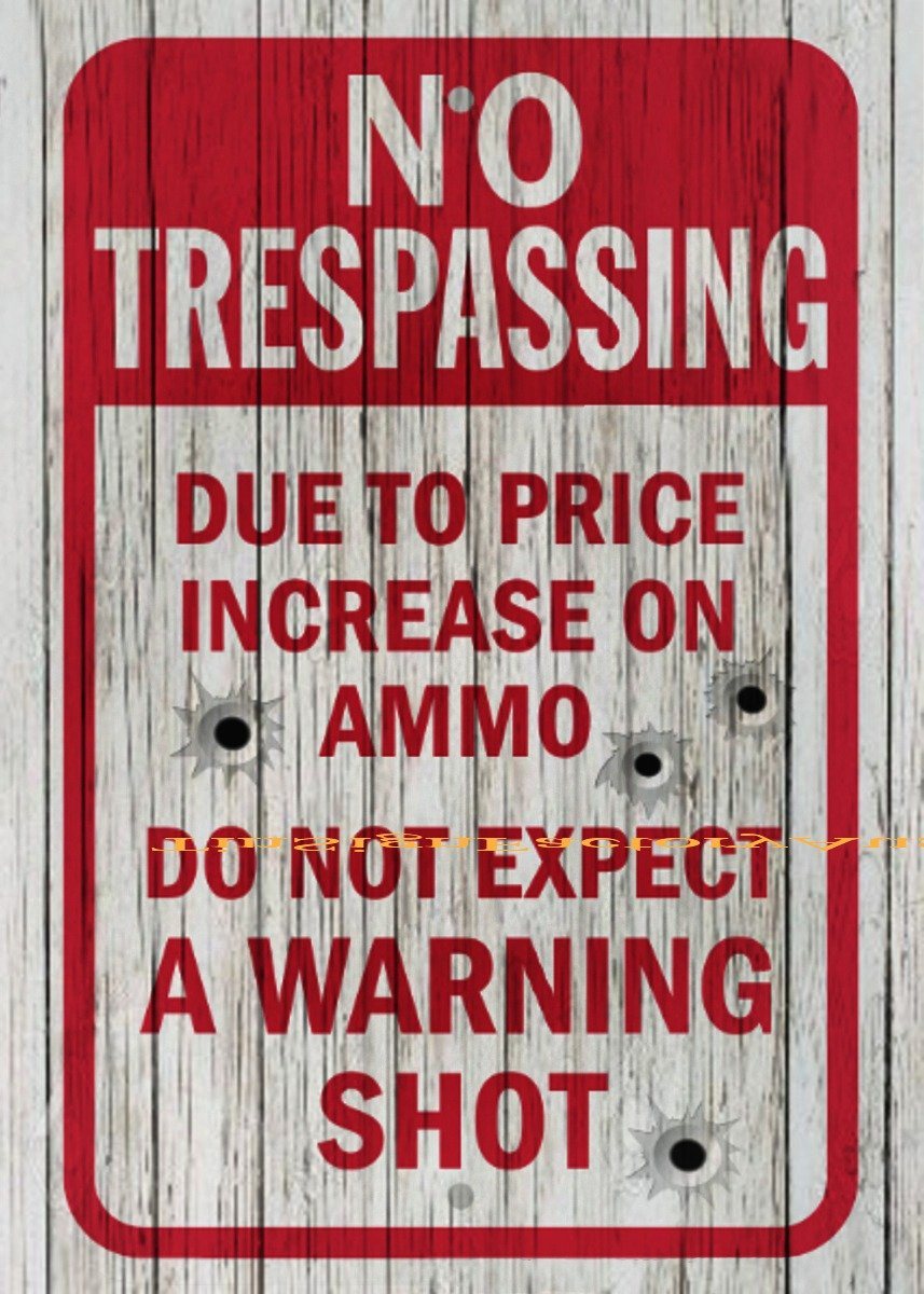 DO NOT EXPECT WARNING SHOT Funny NO TRESPASSING Tin Metal Sign Man Cave, Shed-Garage & Bar Sign