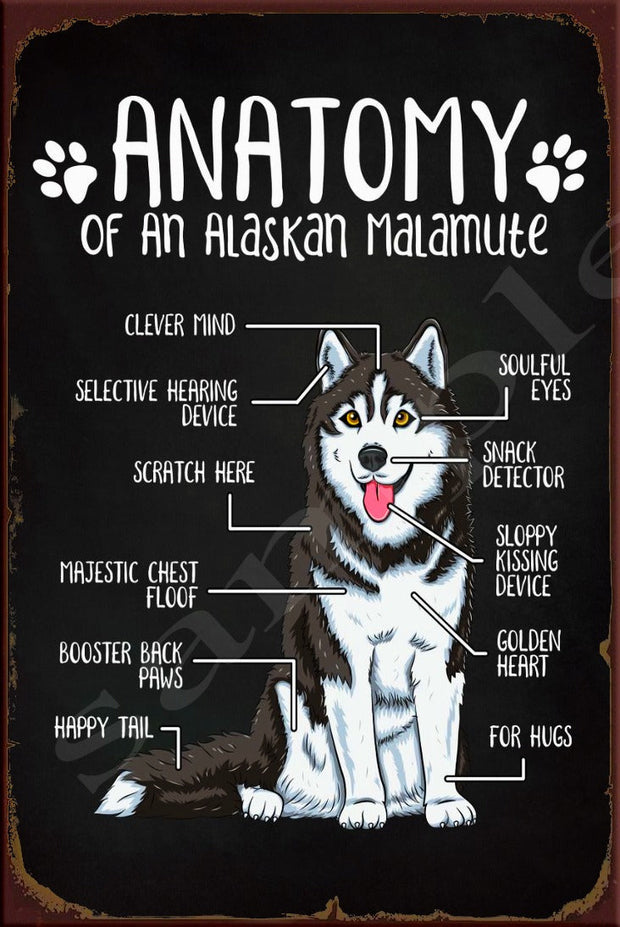ANATOMY OF AN ALASKAN MALAMUTE Retro/ Vintage Wall Home Décor, Shed-Garage and Bar Tin Metal Sign